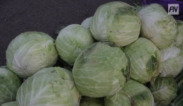 Павлодарские потребители стали осознаннее