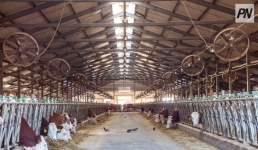 В чём Павлодарской области нет равных, ответил вице-министр сельского хозяйства