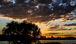 С дождя с грозой начнется июль в Павлодарской области