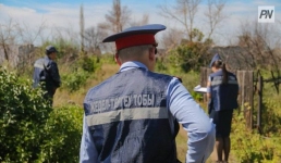 Павлодарцы за день допустили более 300 правонарушений