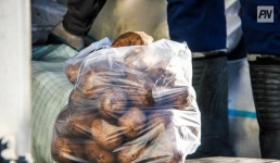 В картофеле и абрикосах на рынках Павлодара нашли нитраты