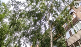 Сильная жара ожидается 4 июля в Павлодарской области