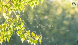 В День Астаны в Павлодарской области возможен дождь