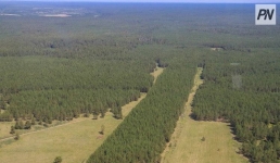 Павлодарские школьники побывали в уникальном лесу ледникового периода