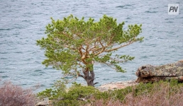 В Баянаульских озерах проверят качество воды