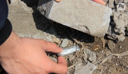 В распространении наркотиков подозревают жителя района Теренколь