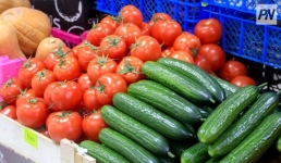 Десятки центнеров тепличных овощей собрали павлодарские овощеводы