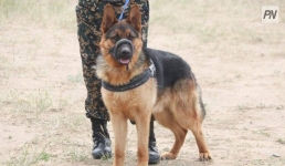 Служебная собака Нацгвардии помогла найти двух павлодарок