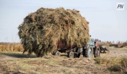 Павлодарские фермеры не снизили темп заготовки кормов