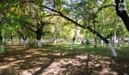 27 августа павлодарцев ждёт солнечный день