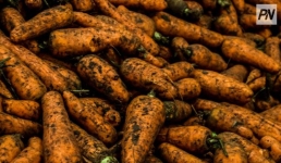 Павлодарцы не пропустят очередную субботнюю ярмарку