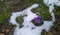 Заморозки и снег: погода в Павлодарской области 2 сентября