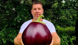 Фермер из Пенсильвании вырастил самый большой баклажан