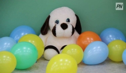 В Железинке открыли центр развития и раннего вмешательства