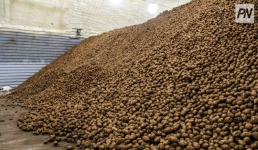 В Павлодарской области организовали сельхозперепись в оффлайн-формате