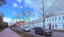 Эксперимент с липами: павлодарские экологи призывают к осторожности