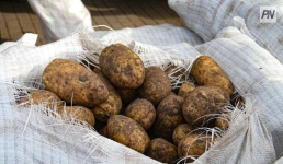 В Павлодарской области не будет необоснованного роста цен на продукты