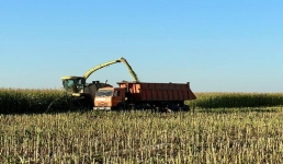 Актогайский район наращивает посевные площади и мощности молочных ферм