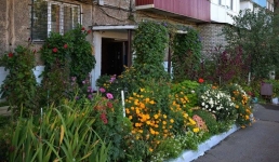 600 деревьев высадили экибастузцы во время масштабного субботника