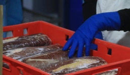 В Павлодарской области планируют наладить производство мясных консервов