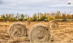 В Павлодарской области перераспределят сельхозугодья
