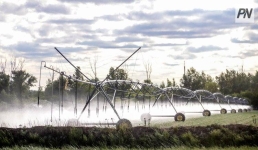 Инвестиции в АПК: Павлодарская область занимает первое место в стране