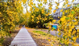 До +14 прогреется воздух в Павлодарской области