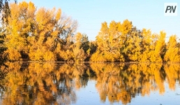 Туманным прогнозируется 11 октября в Павлодарской области