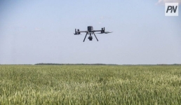 ИИ идёт в поле: учёные Павлодара против болезней зерновых