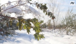 Осадков не будет в Павлодарской области 14 октября