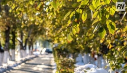 Павлодарский биолог обнадёжила напуганных зимним октябрём павлодарцев