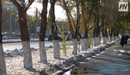 Облачно будет в Павлодарской области 16 октября