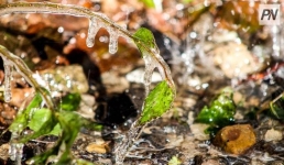 17 октября в Павлодарской области потеплеет