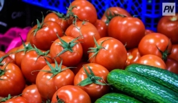 Павлодарские аграрии представляют свою продукцию жителям столицы