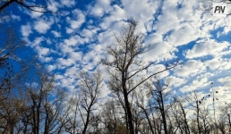 До +15 прогнозируют синоптики в Павлодарской области