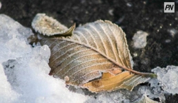 21 октября в Павлодарской области не будет осадков