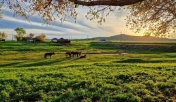 Главного популяризатора Каражара наградили в Министерстве туризма и спорта Казахстана