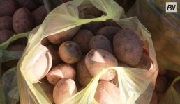 В микрорайонах Павлодара прошли праздничные ярмарки