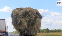 Как безопасно хранить сено и готовить печи к зиме