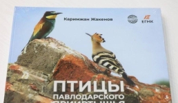 В Павлодаре презентовали золотой фонд птиц Прииртышья