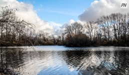 В Павлодаре ищут пропавшую женщину