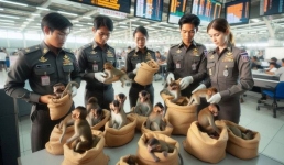 В Таиланде контрабандисты пытались провезти обезьян в мешках