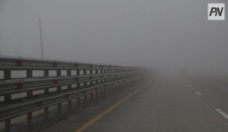 Туманно будет в Павлодарской области 25 ноября