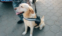 Как в Павлодаре кинологи учили школьников противостоять наркотикам