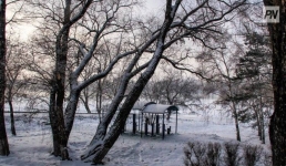 Туман и гололед прогнозируют 6 декабря в Павлодарской области