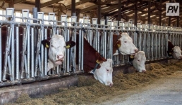 В Успенском районе реализуют три крупных инвестпроекта