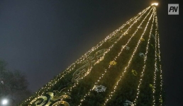 Павлодарцев пригласили на зажжение главной городской елки