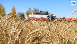 Урожайность зерновых выросла в Иртышском районе