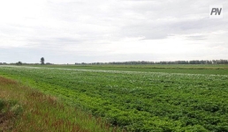 В Успенском районе оштрафовали руководителя отдела земельных отношений