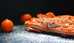 В Великобритании задумались о чувствах крабов и лобстеров